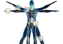 Orthopedic Consultation