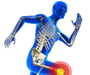  Sports Injury Management