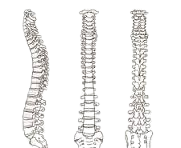 Spine Care & Pain Management